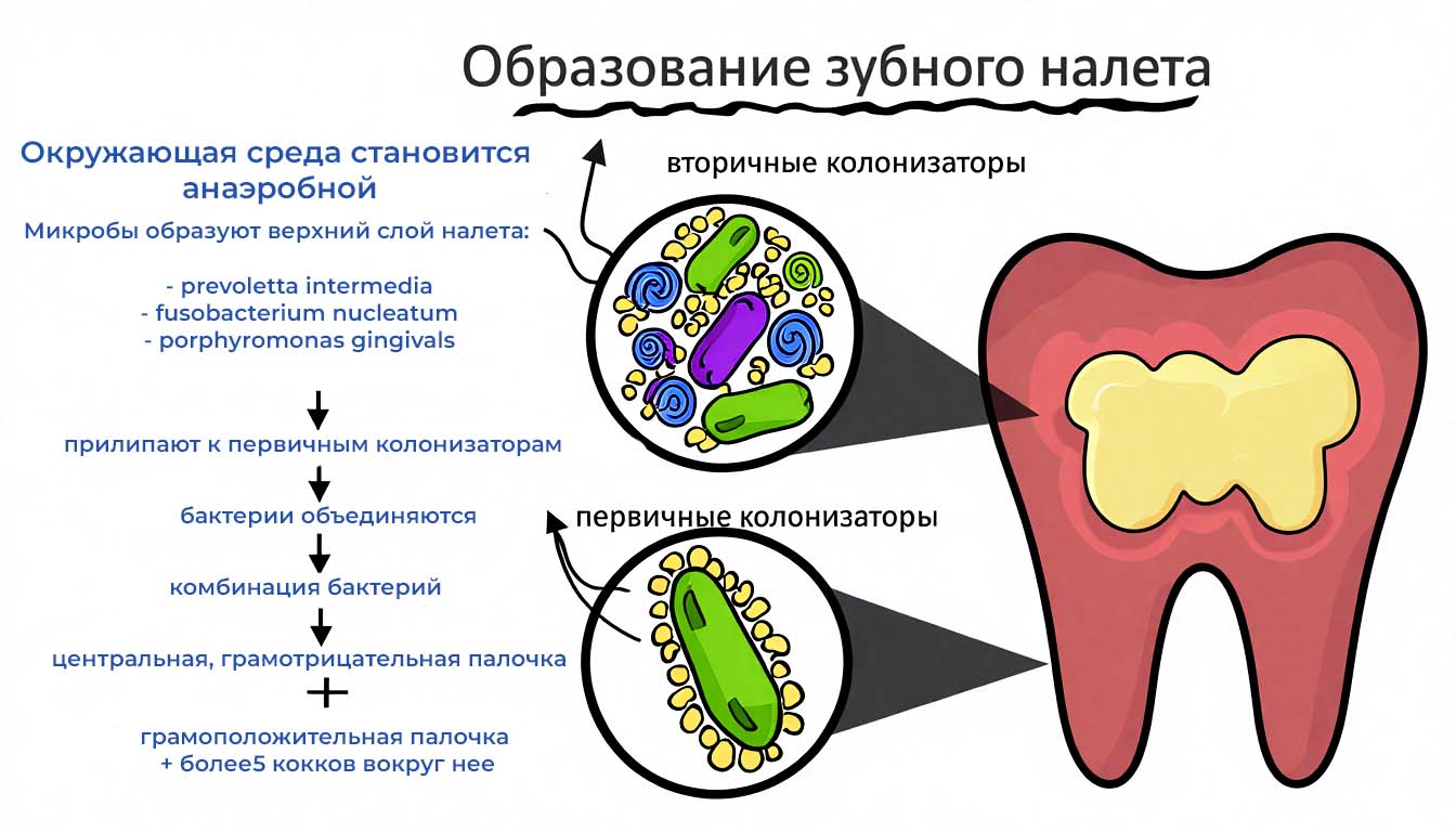 Причины образования налета
