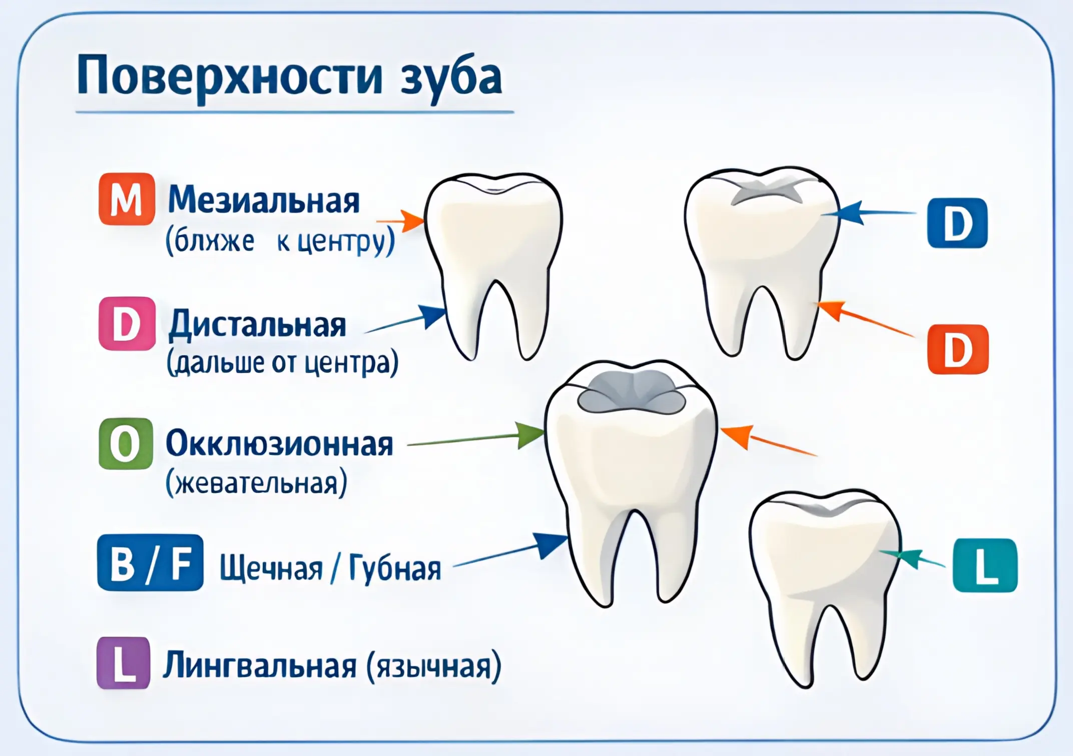 Свищ с внутренней стороны зубного ряда